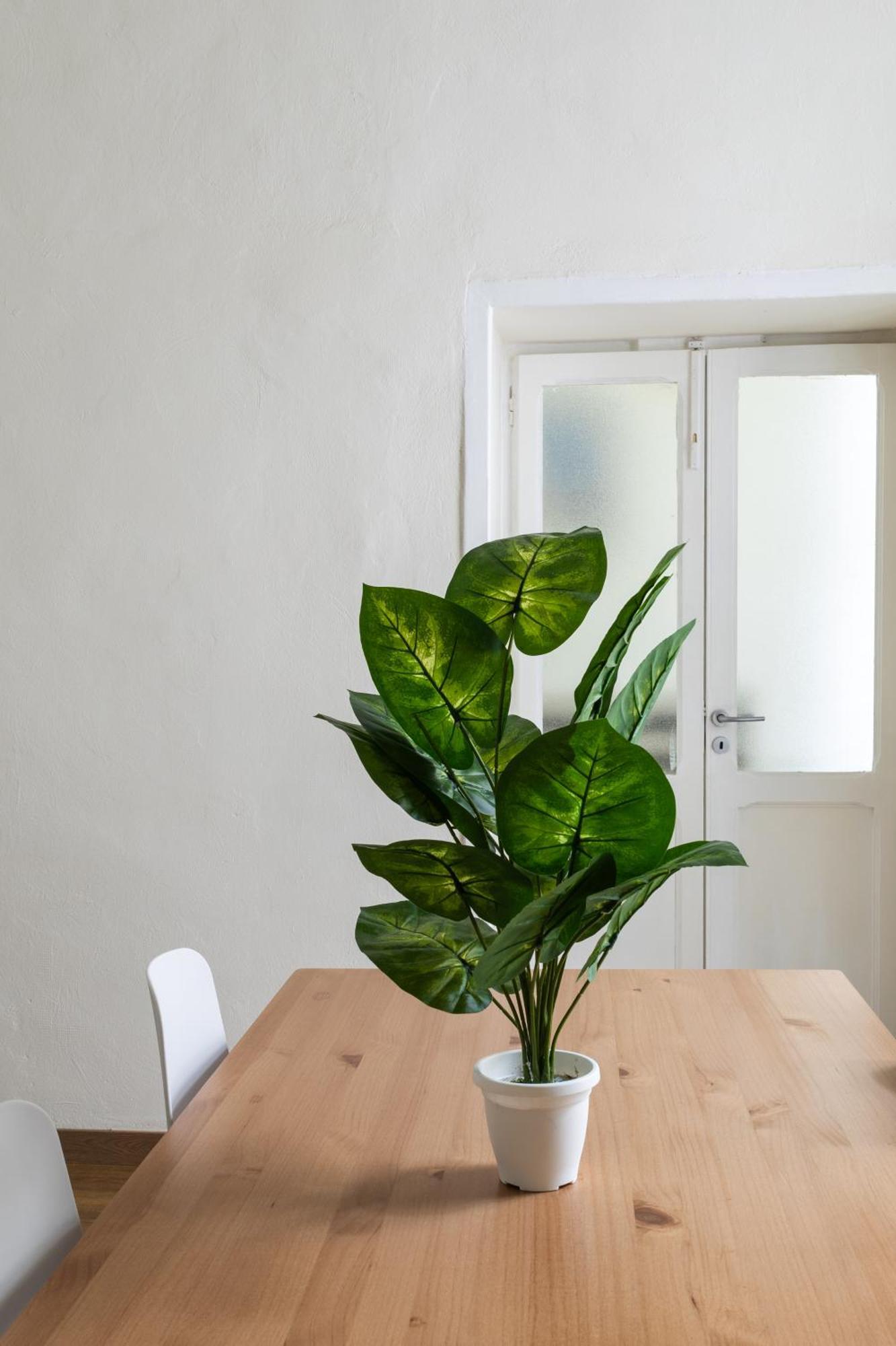 Ferienwohnung Cozy Historical Flat Napoli Exterior foto